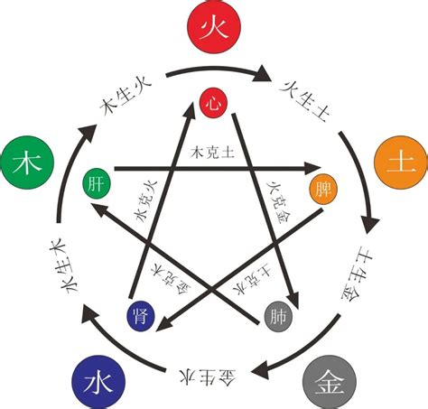 五行木旺缺水|八字水多缺木 (五行中没有木但是水多怎么办)